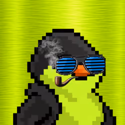 SKNOTS  #2084