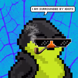 SKNOTS  #1188