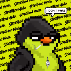 SKNOTS  #2595