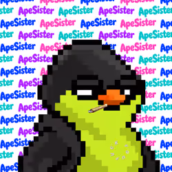 SKNOTS  #2789