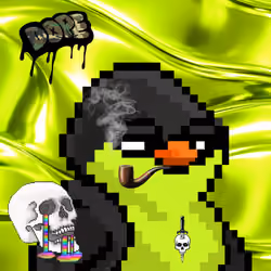 SKNOTS  #381