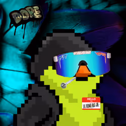 SKNOTS  #1284