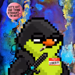SKNOTS  #2275