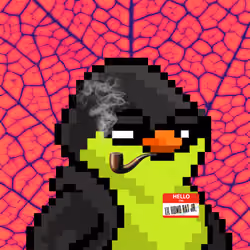SKNOTS  #2338