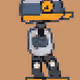 picoduck