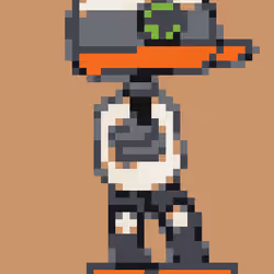 picoduck #62
