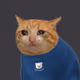 1019