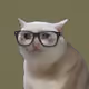 Crying Cat #532