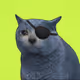 1144