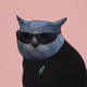 Crying Cat #534