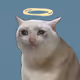 576