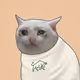 161