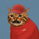 Crying Cat #538