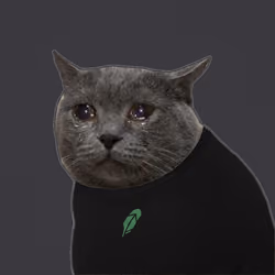 Crying Cat #276