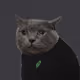 1133