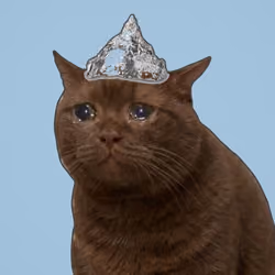 Crying Cat #1329