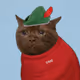 Crying Cat #463