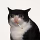 Crying Cat #530