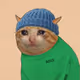 Crying Cat #226