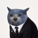 620
