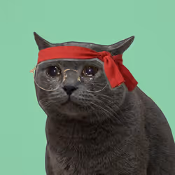 Crying Cat #649