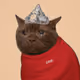 Crying Cat #536