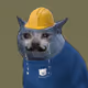 883
