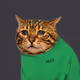 658