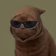 622