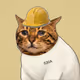 Crying Cat #190