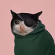 1008