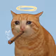 Crying Cat #432