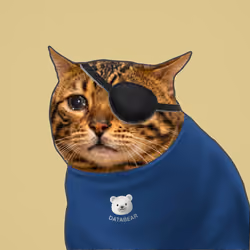 Crying Cat #327