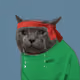 657