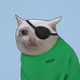 623