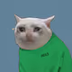 Crying Cat #430