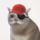 Crying Cat #533