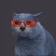 750