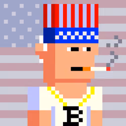 Node Biden #115