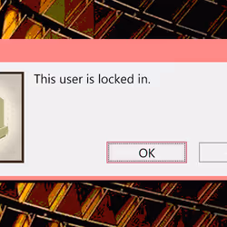 291