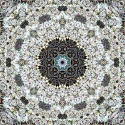 Kaleidoskop #465