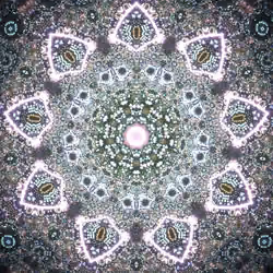 Kaleidoskop #485