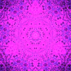 Kaleidoskop #515