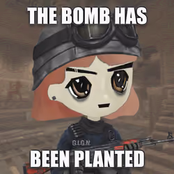 4262