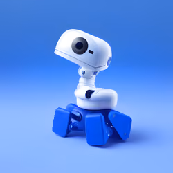 Robo Duck #6810