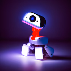 Robo Duck #5042