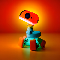 Robo Duck #6461