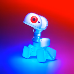 Robo Duck #5265