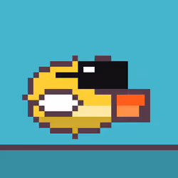 Flap #455