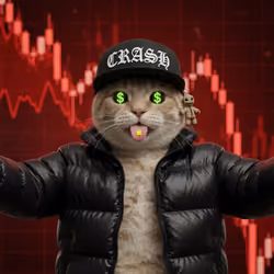 536